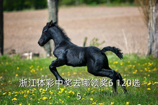  浙江體彩中獎去哪領獎6 120選5