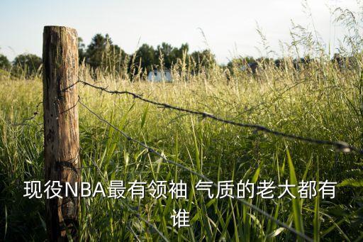 現役NBA最有領(lǐng)袖 氣質(zhì)的老大都有誰(shuí)