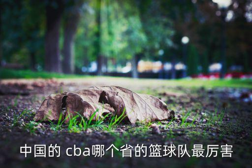 中國的 cba哪個(gè)省的籃球隊最厲害