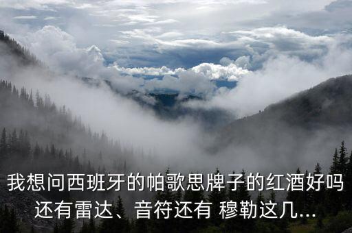 我想問(wèn)西班牙的帕歌思牌子的紅酒好嗎還有雷達、音符還有 穆勒這幾...