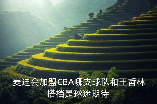 麥迪在cba哪個(gè)隊(duì),我國籃球隊(duì)急需姚明和王哲林