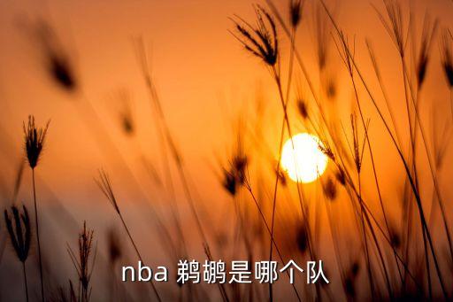 nba 鵜鶘是哪個(gè)隊