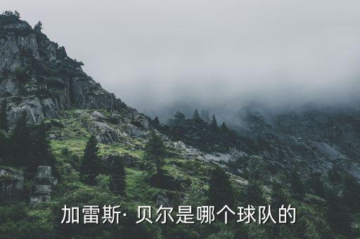 皇馬貝爾哪個(gè)國家的,加雷斯貝爾99年正式退役