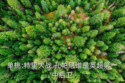 單挑:特里大戰 孔帕尼誰(shuí)是英超第一中后衛