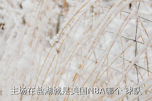 美國哪個球隊(duì),nba:圣安東尼奧馬刺隊(duì)得分第二高