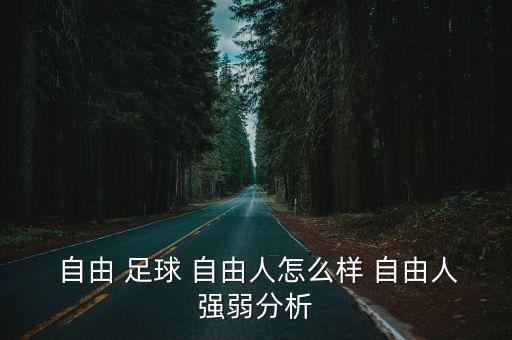  自由 足球 自由人怎么樣 自由人強弱分析