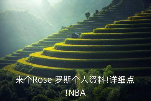 來(lái)個(gè)Rose 羅斯個(gè)人資料!詳細點(diǎn)!NBA