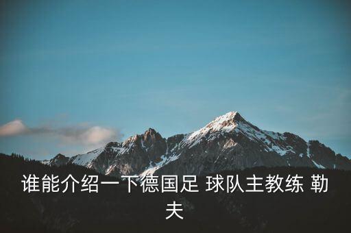 勒夫在哪個(gè)球隊,德國足協(xié)主席勒夫宣布卸任因自己的意愿