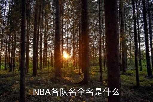 NBA各隊(duì)名全名是什么