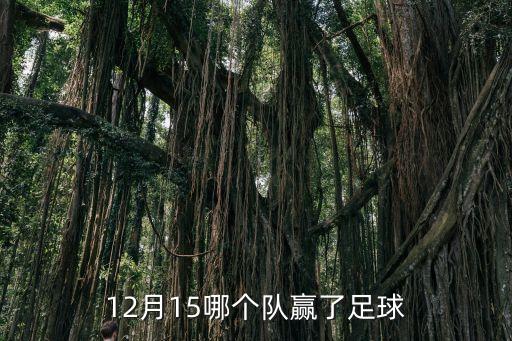 12月15哪個(gè)隊贏(yíng)了足球