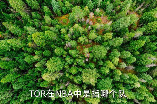 TOR在NBA中是指哪個(gè)隊