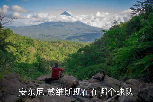 安東尼 戴維斯現在在哪個(gè)球隊