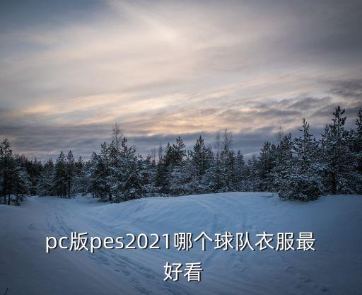 pc版pes2021哪個(gè)球隊(duì)衣服最 好看