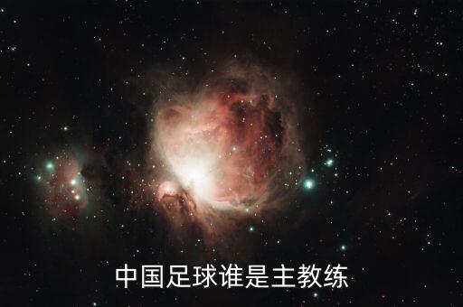 perrin是哪個(gè)球員,阿蘭·佩蘭曾是中國足球隊主教練