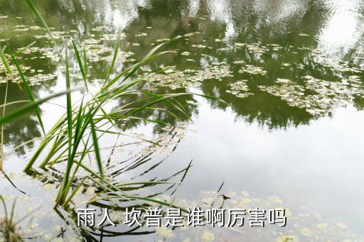 雨人 坎普是誰啊厲害嗎