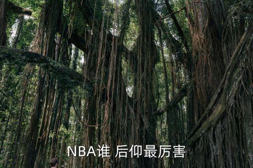 NBA誰(shuí) 后仰最厲害