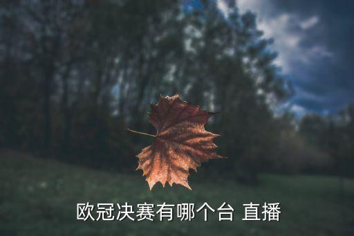  歐冠決賽有哪個(gè)臺 直播