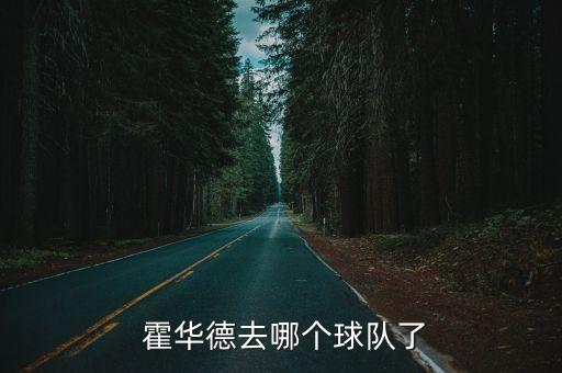  霍華德去哪個球隊了