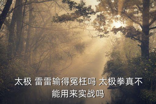  太極 雷雷輸得冤枉嗎 太極拳真不能用來(lái)實(shí)戰嗎