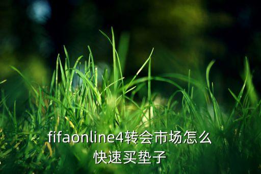 fifaonline4轉(zhuǎn)會(huì)市場(chǎng)怎么快速買墊子