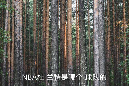 NBA杜 蘭特是哪個(gè) 球隊(duì)的