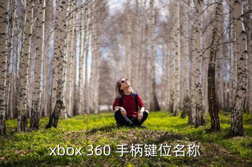 xbox 360 手柄鍵位名稱(chēng)