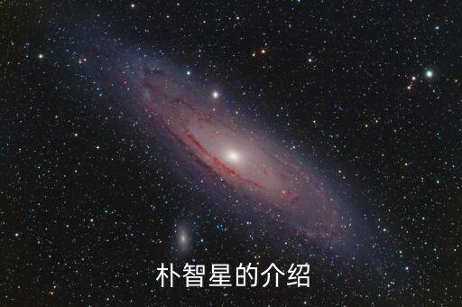 鄭大世 樸智星哪個更,樸智星在曼聯(lián)表現(xiàn)突出個人特點逐漸成型