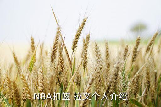 NBA扣籃 拉文個(gè)人介紹