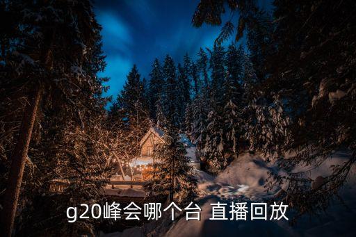 g20峰會(huì )哪個(gè)臺 直播回放