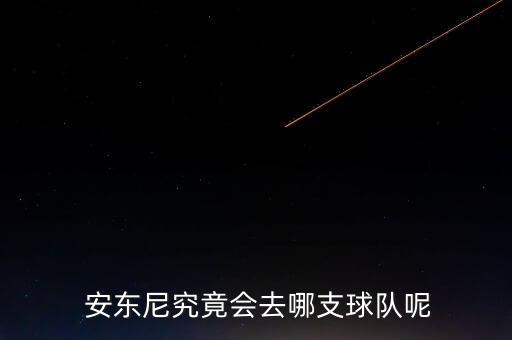 安東尼去哪個(gè)隊(duì)了,籃球巨星卡梅隆安東尼