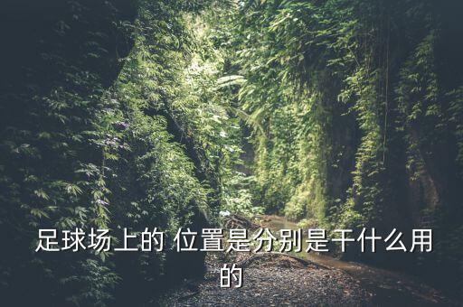  足球場(chǎng)上的 位置是分別是干什么用的