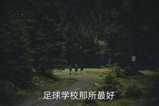 魯能足校 和恒大哪個(gè)好,中國最好的足校足校是山東濰坊