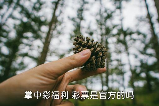 下載彩票網(wǎng)站哪個(gè)好,為何不能網(wǎng)購彩票?假彩票s太多了