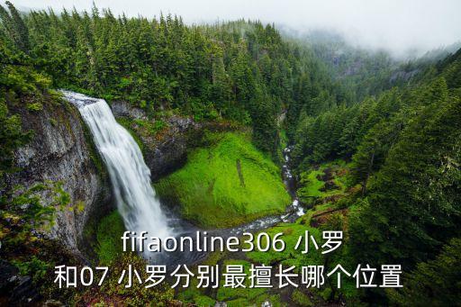  fifaonline306 小羅和07 小羅分別最擅長(cháng)哪個(gè)位置