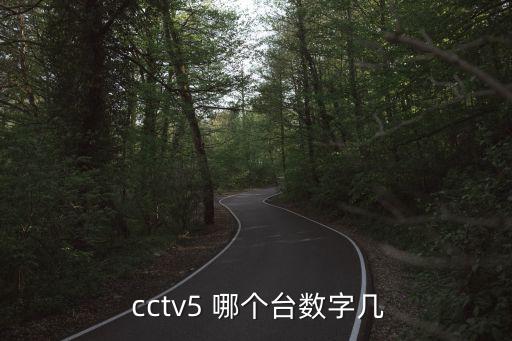 cctv 5是哪個(gè)臺,央5 :體育賽事頻道是央視的高清頻道