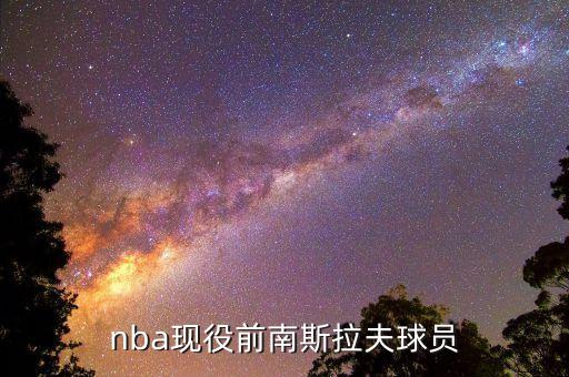 nba現役前南斯拉夫球員