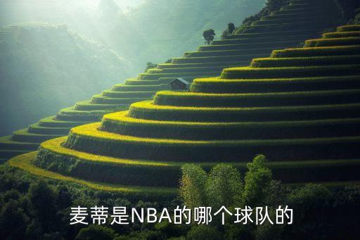  麥蒂是NBA的哪個(gè)球隊(duì)的