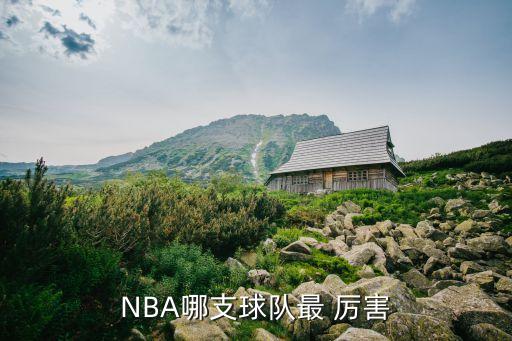 NBA哪支球隊(duì)最 厲害