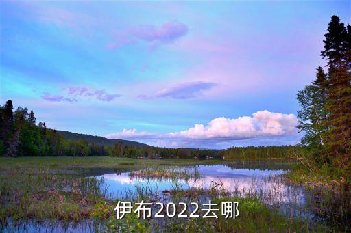  伊布2022去哪