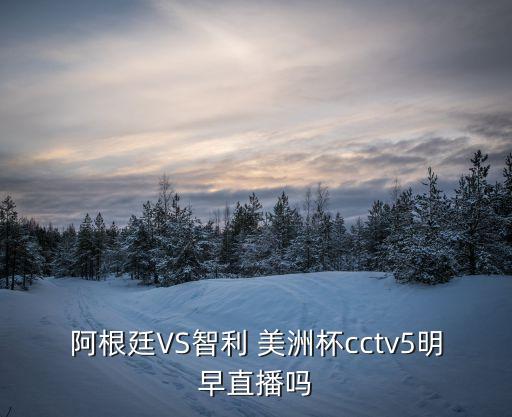 阿根廷VS智利 美洲杯cctv5明早直播嗎