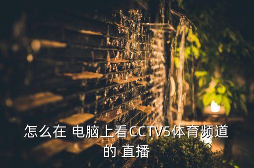 怎么在 電腦上看CCTV5體育頻道的 直播