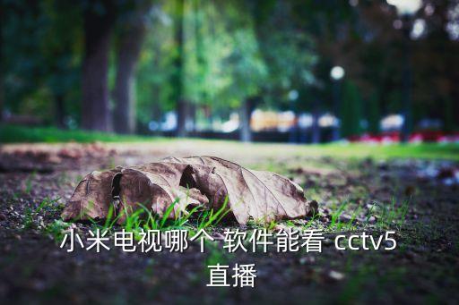 哪個(gè)軟件直播cctv5,點(diǎn)擊屏幕中央播放按鈕即可觀(guān)看直播