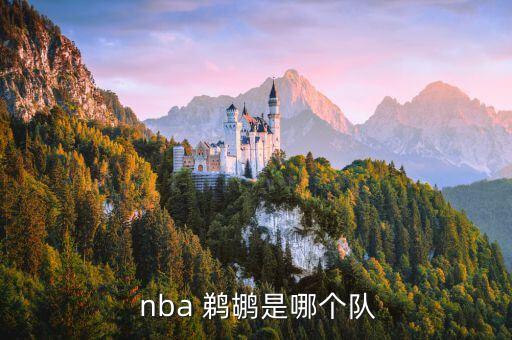  nba 鵜鶘是哪個(gè)隊