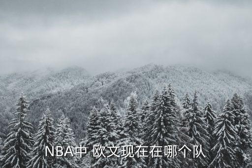 nba歐文哪個(gè)球隊,nba球星凱里歐文之子詹皇