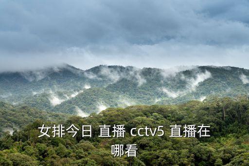 女排今日 直播 cctv5 直播在哪看