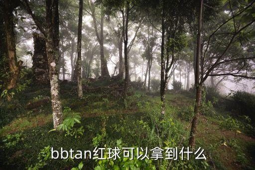 bbtan哪個(gè)球最好,我國男子高爾夫球男隊摘金銀銅獎