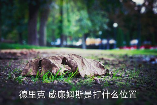 德里克 威廉姆斯是打什么位置