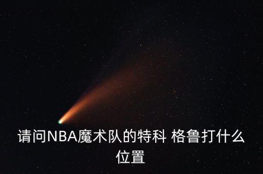 請問(wèn)NBA魔術(shù)隊的特科 格魯打什么位置