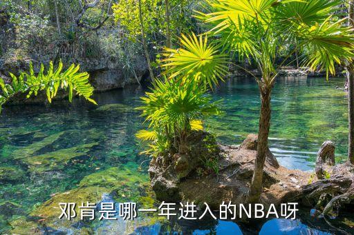  鄧肯是哪一年進(jìn)入的NBA呀