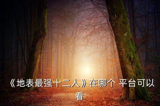 《地表最強十二人》在哪個(gè) 平臺可以看